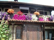 2014-07-30-00-10-48_175x130_crop_478b24840a